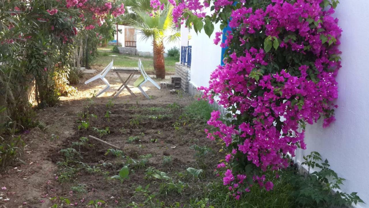 Alfa Apartments Bodrum Dış mekan fotoğraf