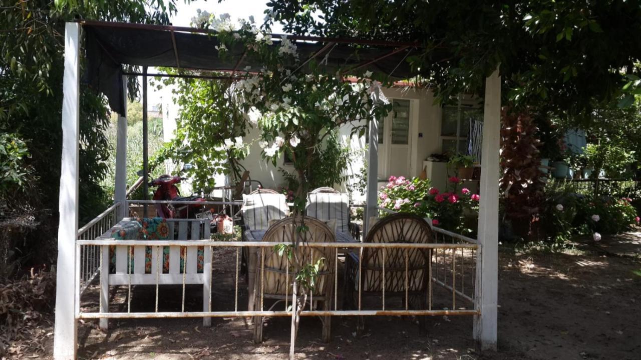Alfa Apartments Bodrum Dış mekan fotoğraf